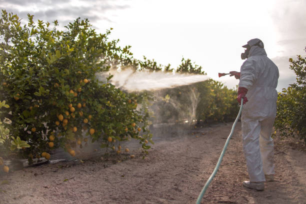 Pest Control Cost in Hanley Hills, MO